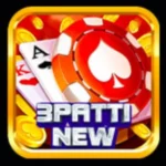 3 Patti New