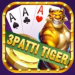 3 Patti Tiger